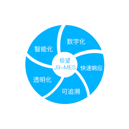 巅峰国际科技_追溯系统专家